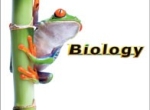 BJU Biology Books for Sale